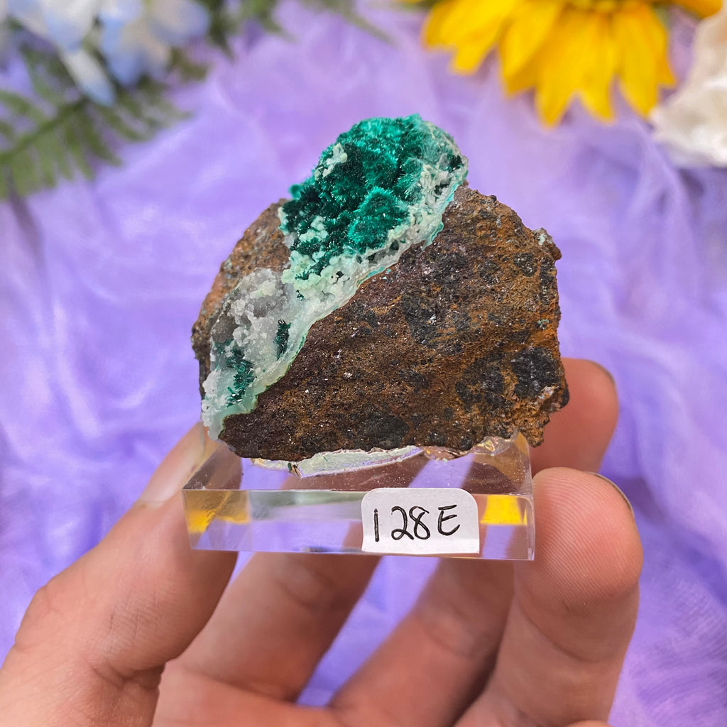 High Quality Chrysocolla Cluster