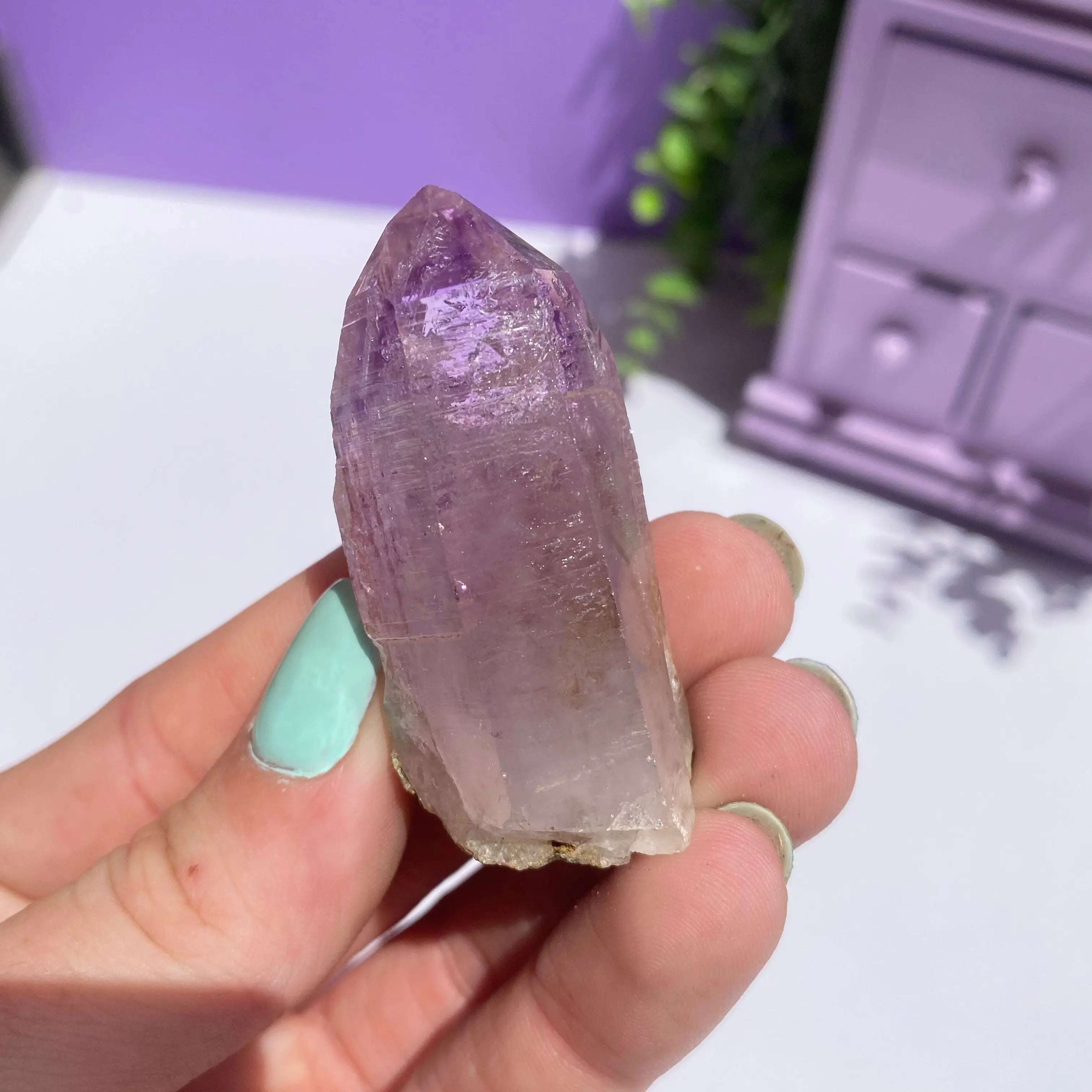 Vera Cruz Amethyst Arabella Crystals